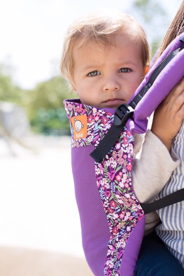 Tula Toddler Carrier Coast Hyacinth - Buckle CarrierLittle Zen One5902574367532